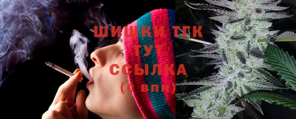 хмурый Аркадак