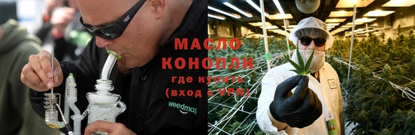 хмурый Аркадак