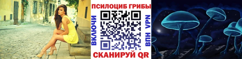 Псилоцибиновые грибы Magic Shrooms  blacksprut ONION  Березники 